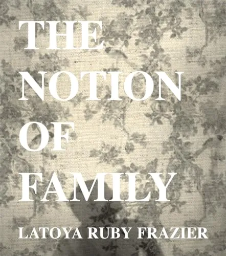 Couverture de The Notion of Family