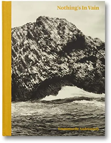 Couverture de Nothing's in Vain