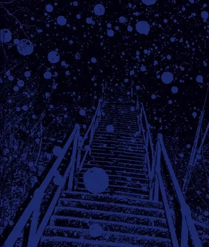 Couverture de Winter Nights, Walking