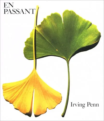 Couverture de En passant