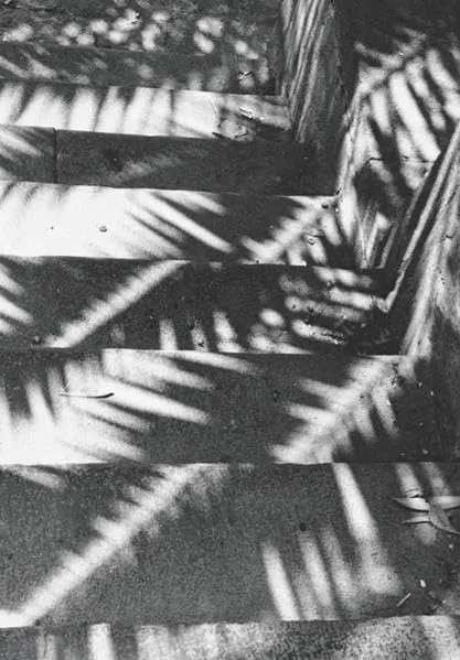 Couverture de Composition: Jochen Lempert