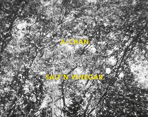 Couverture de Salt'N Vinegar