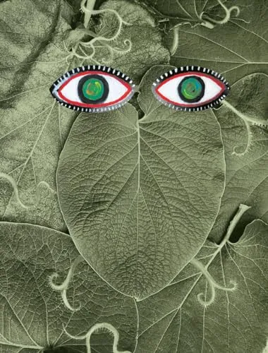 Couverture de Hoja Santa