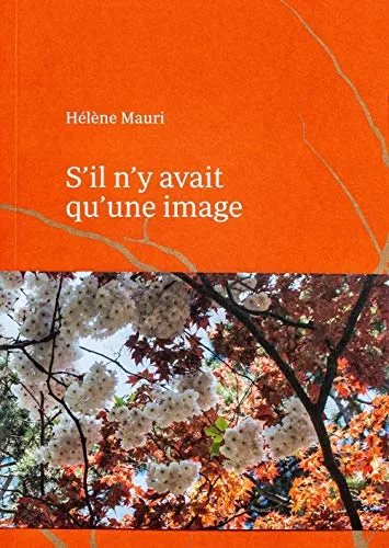 Couverture de S'il n'y avait qu'une image