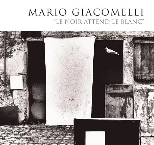 Couverture de Le Noir attend le blanc