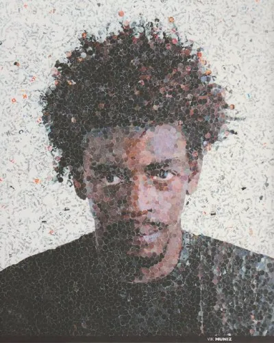 Couverture de Vik Muniz