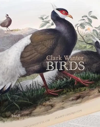 Couverture de Birds