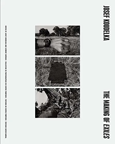 Couverture de The Making of Exiles