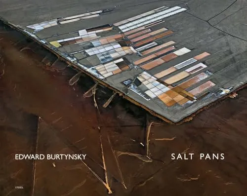 Couverture de Salt Pans
