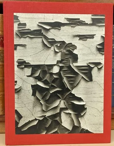 Couverture de Aaron Siskind 100