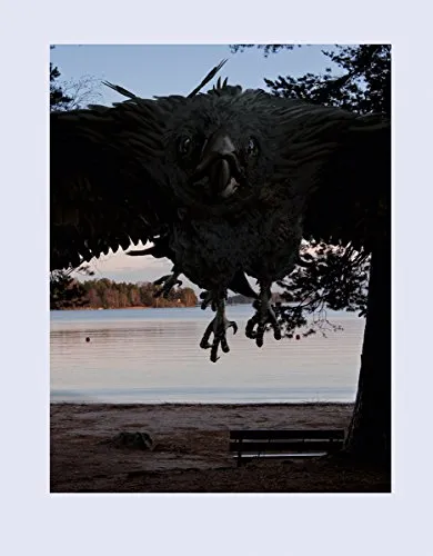 Couverture de Parallel Worlds