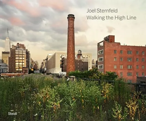 Couverture de Walking The High Line