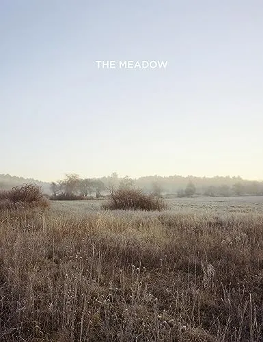 Couverture de The Meadow