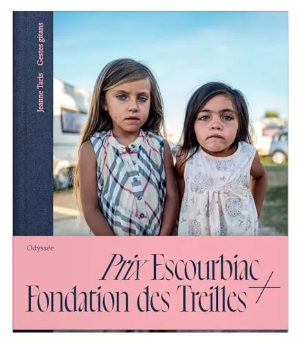 Couverture de Gestes gitans