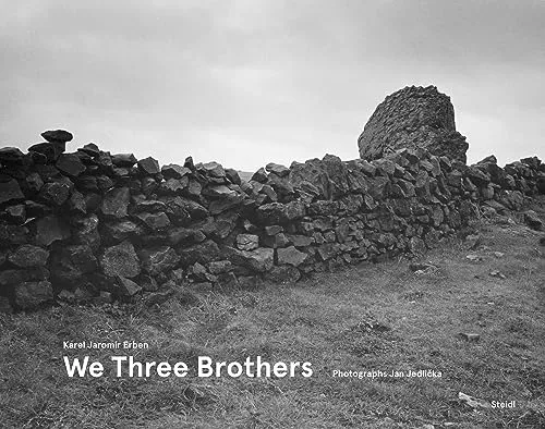 Couverture de We Three Brothers