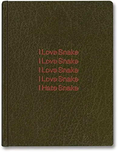 Couverture de Girl Plays with Snake