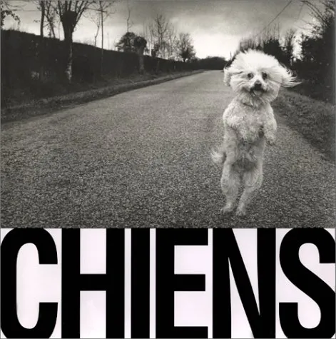 Couverture de Chiens