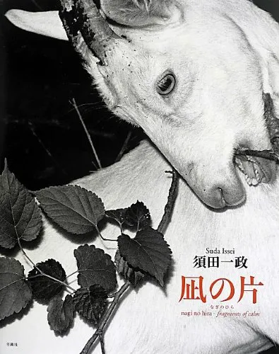Couverture de Nagi No Hira - Fragments of Calm