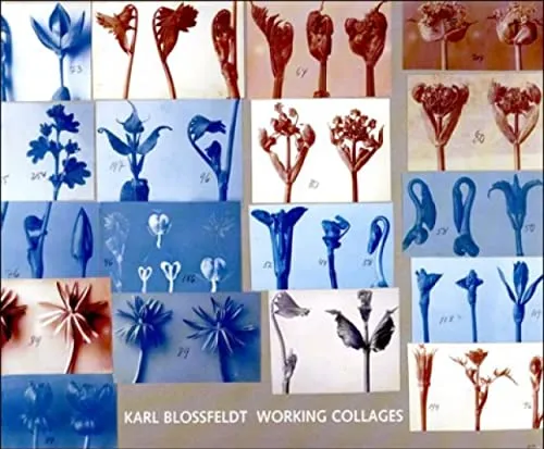 Couverture de Working collages