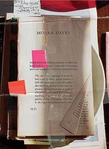 Couverture de Burn the Diaries