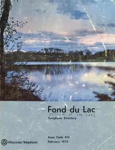 Couverture de Bottom of the Lake