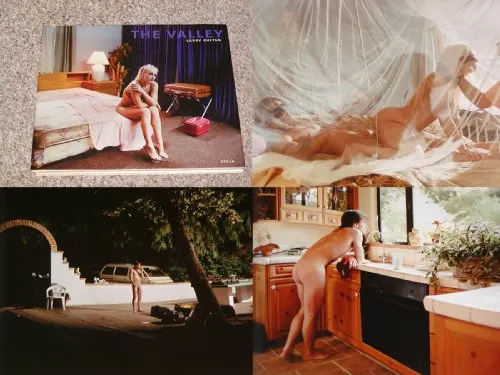 Couverture de The Valley