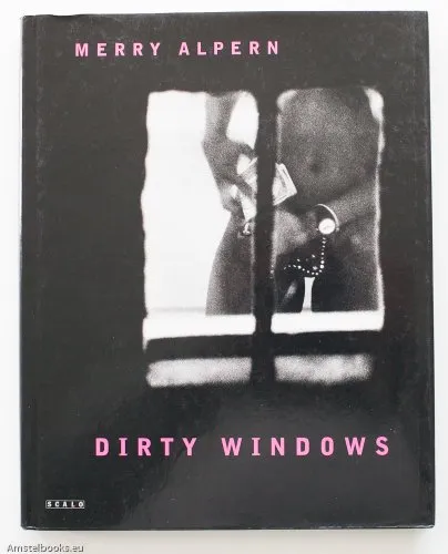 Couverture de Dirty Windows