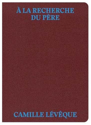 Couverture de A la recherche du père