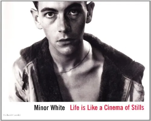 Couverture de Life is like a cinema of stills