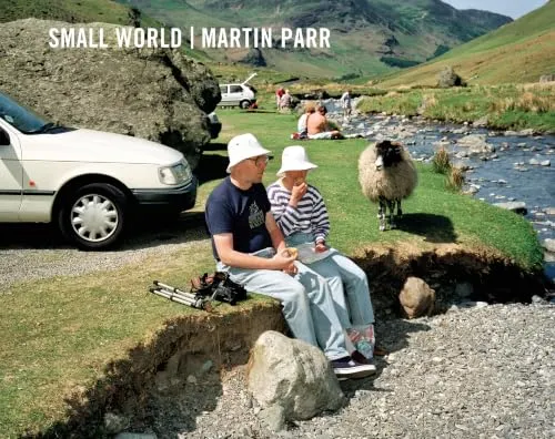 Couverture de Small World
