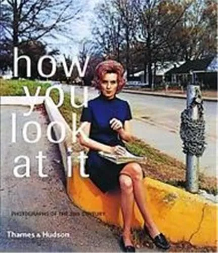 Couverture de How You Look at It