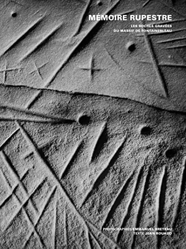 Couverture de Memoire Rupestre - Les Roches