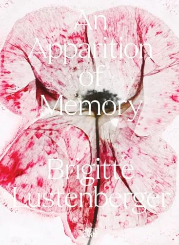 Couverture de An Apparition of Memory