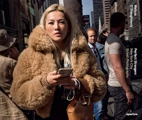 Couverture de Perfect Strangers: New York City Street Photographs