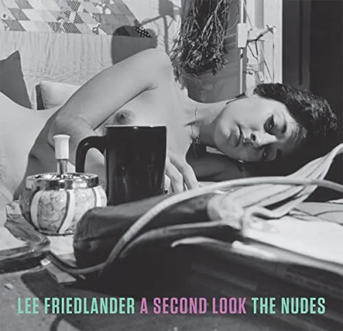 Couverture de A Second Look : The Nudes