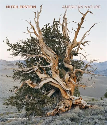 Couverture de American nature