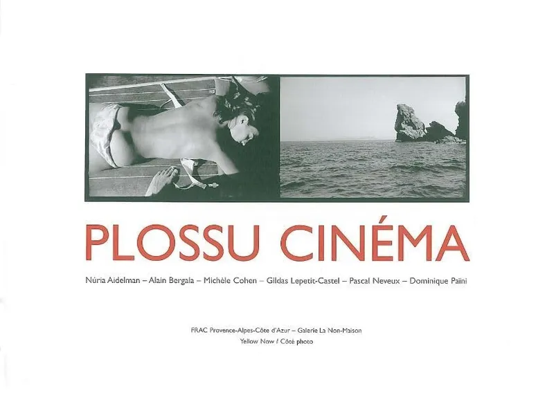 Couverture de Plossu Cinéma