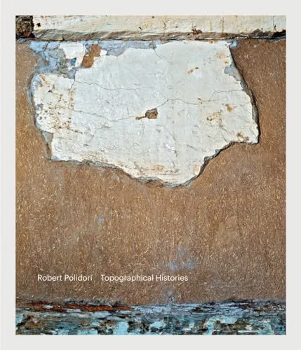Couverture de Topographical Histories
