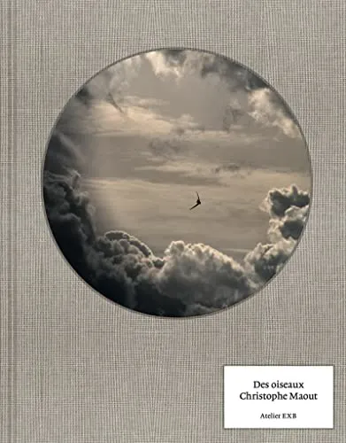 Couverture de Des Oiseaux