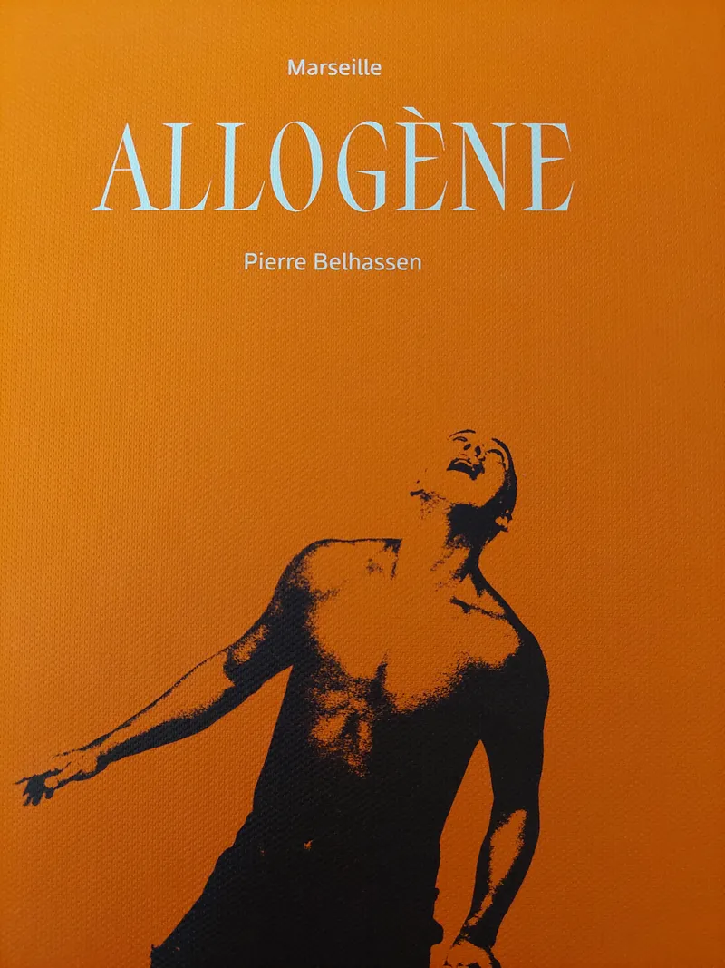 Couverture de Marseille Allogène