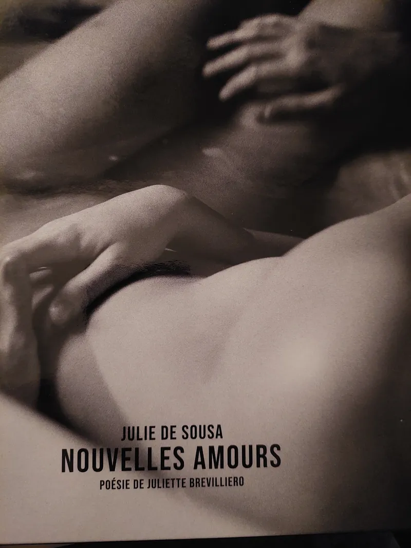 Couverture de NOUVELLES AMOURS