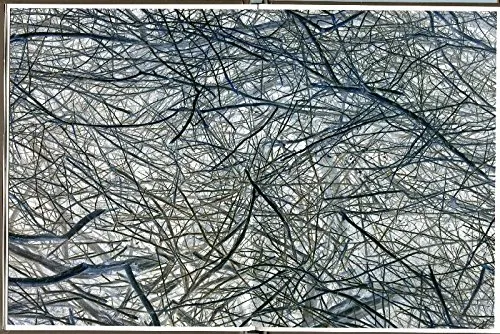 Couverture de One Picture Book #82: Iphone Studies: Reverse Scrubs