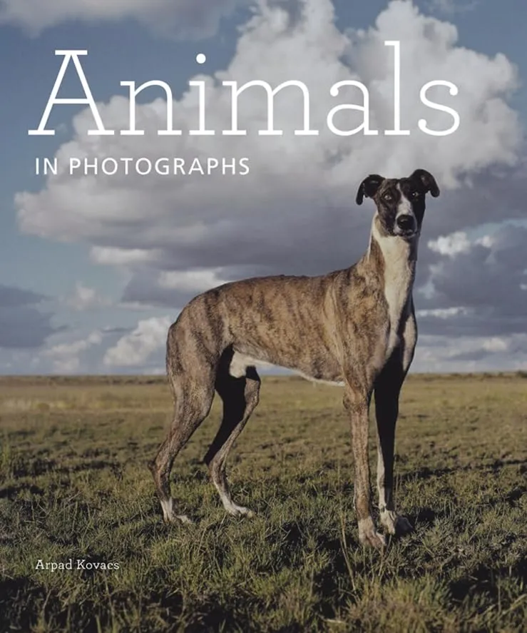 Couverture de Animals in Photographs