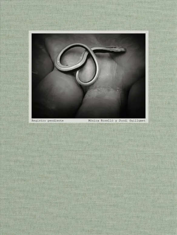 Couverture de Registro pendiente