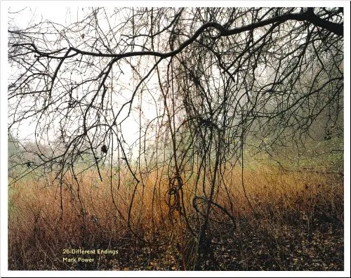 Couverture de 26 Different Endings