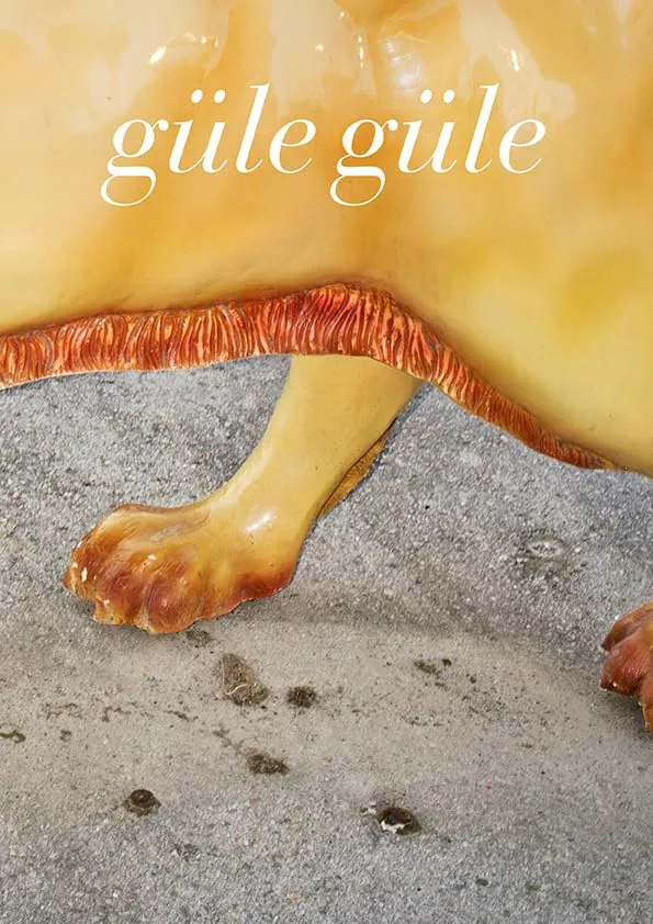 Couverture de güle güle