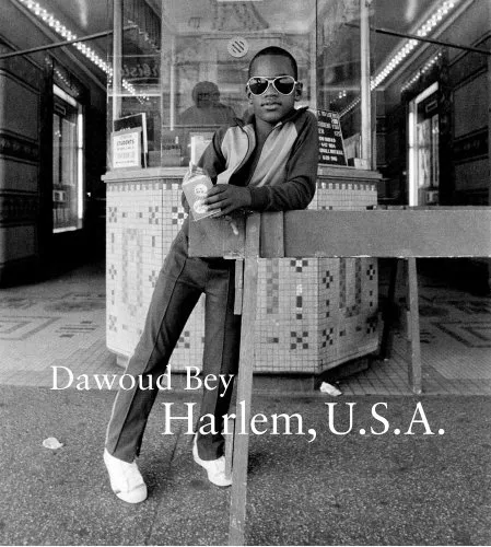 Couverture de Harlem U.S.A