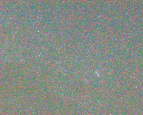 Couverture de Signal Noise