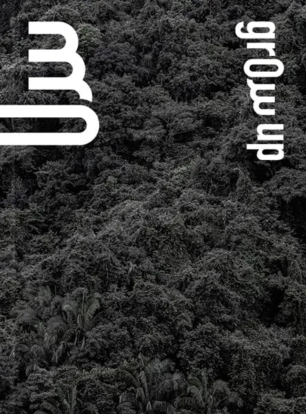 Couverture de Grow up