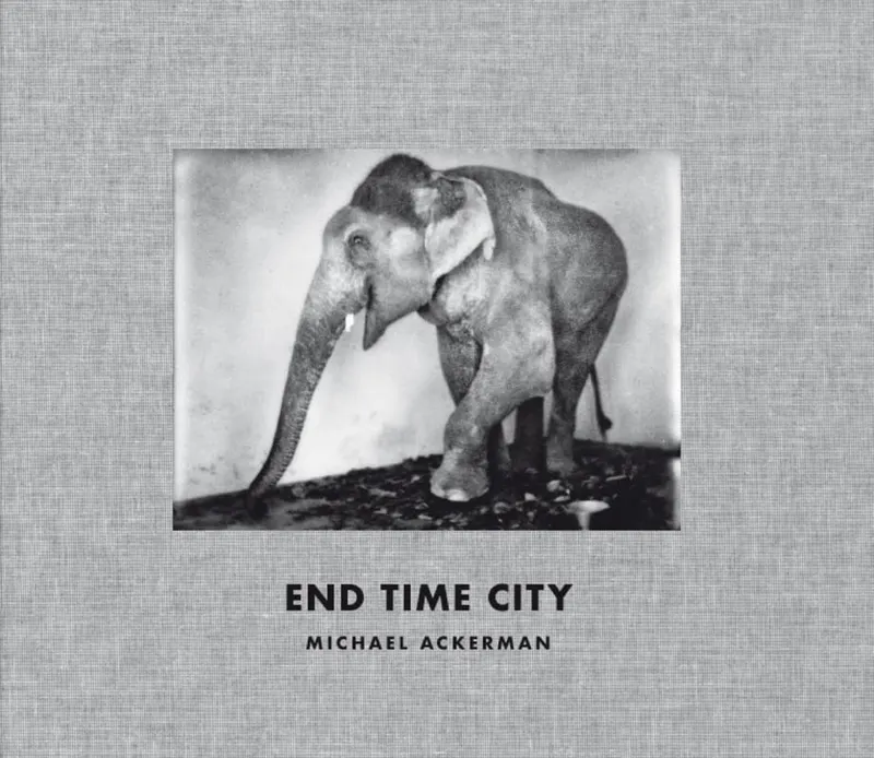 Couverture de End Time City (English)